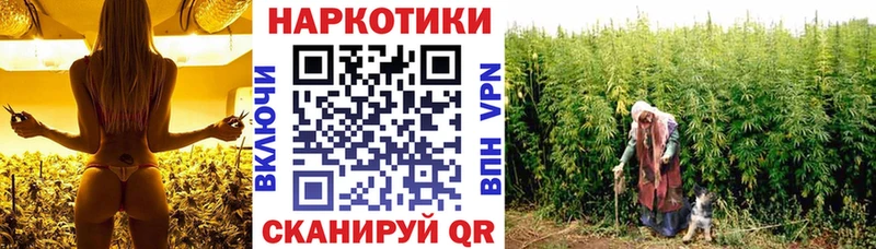 Купить А ПВП  Меф мяу мяу  Бошки Шишки  Кокаин  Гай