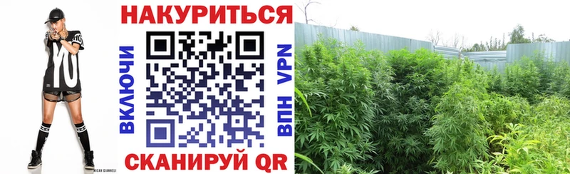 Купить где  Гай  Канабис тримм 